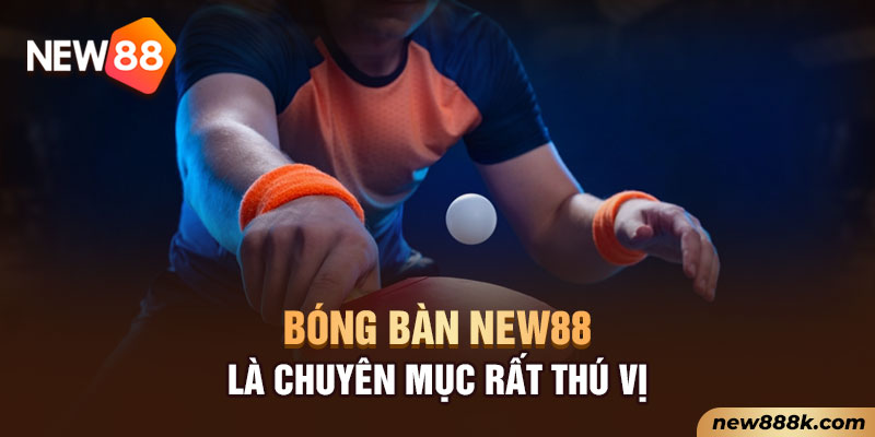 Bóng bàn New88 là chuyên mục rất thú vị
