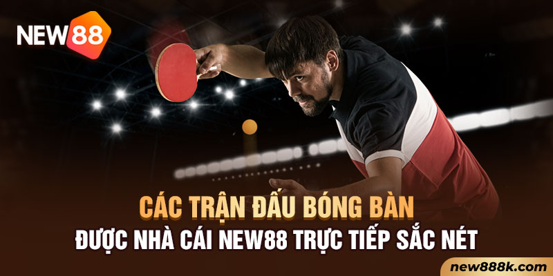 Các trận đấu bóng bàn được nhà cái New88 trực tiếp sắc nét