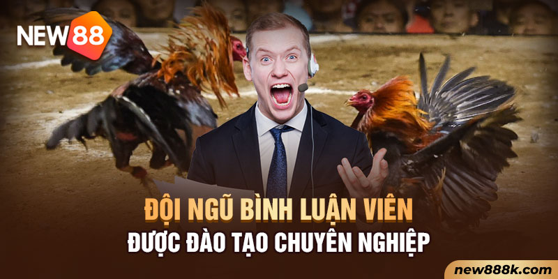 Đội ngũ bình luận viên được đào tạo chuyên nghiệp