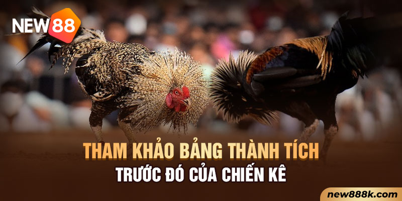 Tham khảo bảng thành tích trước đó của chiến kê