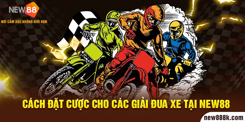 Cách đặt cược cho các giải đua xe tại New88