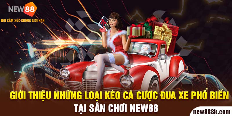 Giới thiệu những loại kèo cá cược đua xe phổ biến tại sân chơi New88