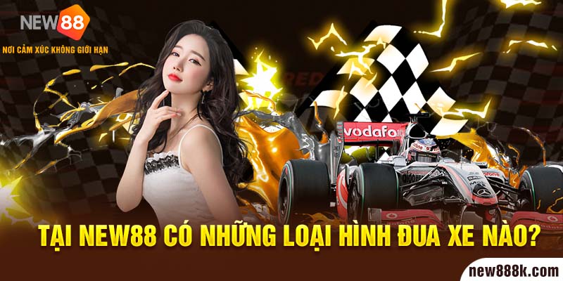 Tại New88 có những loại hình đua xe nào?