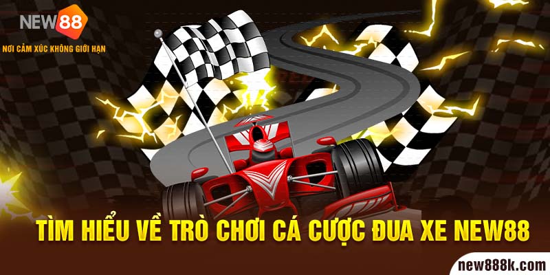 Tìm hiểu về trò chơi cá cược đua xe New88