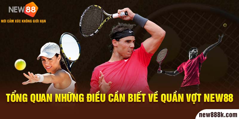 Tổng quan những điều cần biết về Quần vợt New88